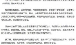 武安最新爆料事件,揭秘事件背后惊人真相